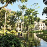 jardim