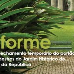 banner-ste-abelhas