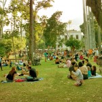 picnic site 2