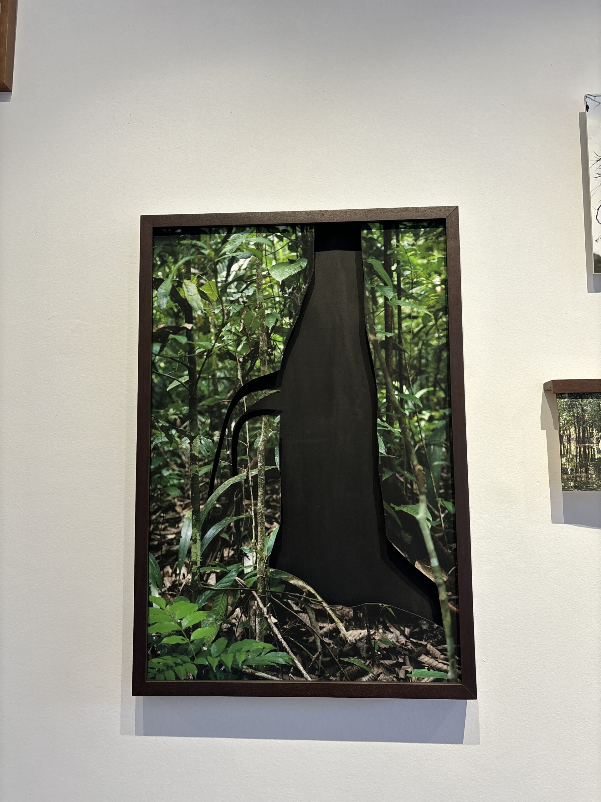 Galeria do Lago recebe a exposição “Voo no Breu” em dezembro. 