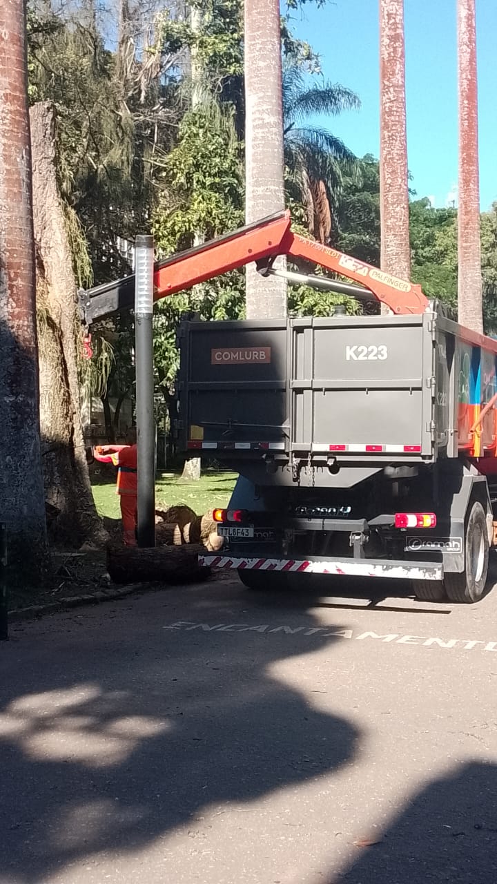 Jardim do Museu da República passa por trabalho de preservação e revitalização 